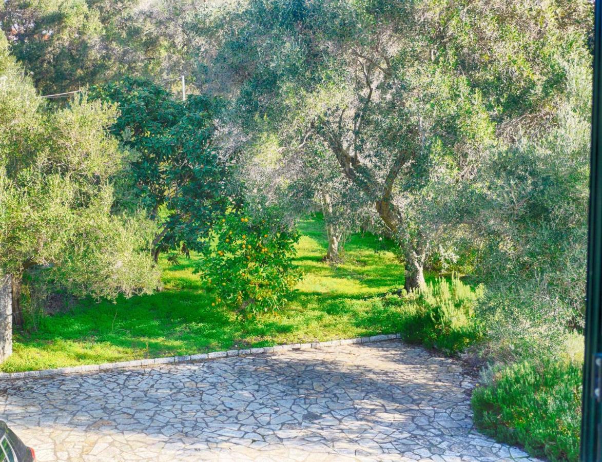 Villa Afionas - 3 Minutes From The Beach With Heated Eco-Pool And Sunset View Exterior foto
